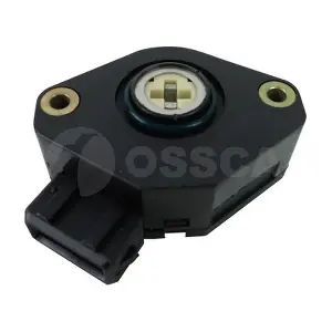 16407 OSSCA
