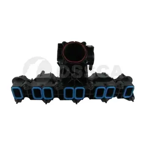 51477 OSSCA