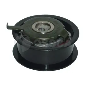 00556 OSSCA