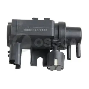 41264 OSSCA