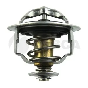 02621 OSSCA