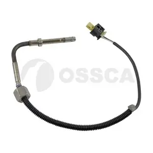36162 OSSCA