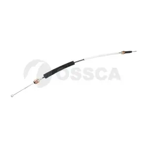 21429 OSSCA