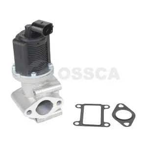 15649 OSSCA