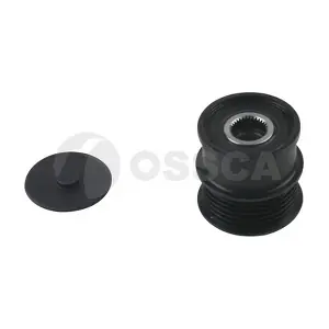 25254 OSSCA