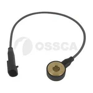 19562 OSSCA