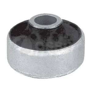 00384 OSSCA