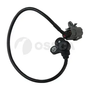 24634 OSSCA