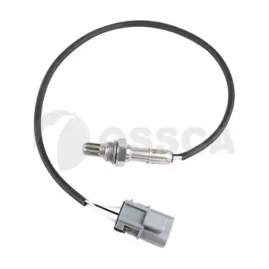 41059 OSSCA