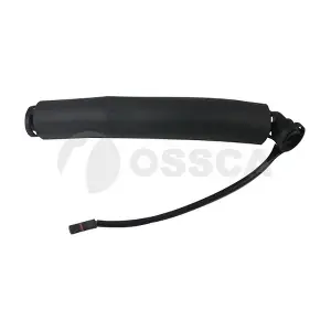 24575 OSSCA