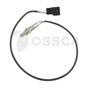 18621 OSSCA