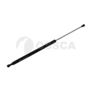 11124 OSSCA