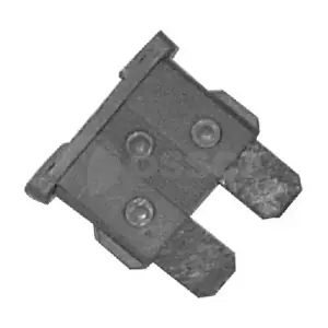 02491 OSSCA