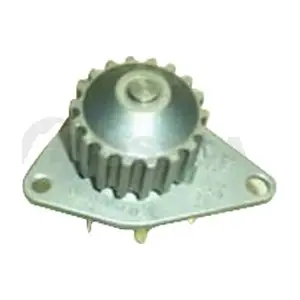 06296 OSSCA