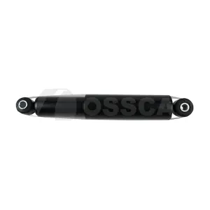13918 OSSCA