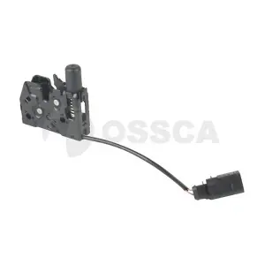 25241 OSSCA