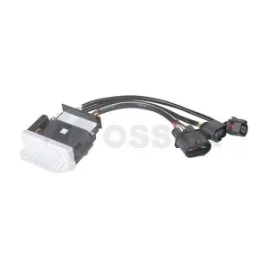 24157 OSSCA