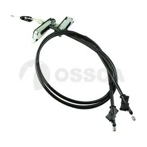29009 OSSCA