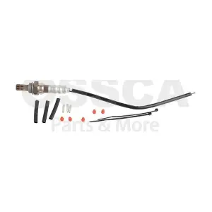 84037 OSSCA