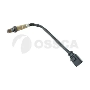 78089 OSSCA