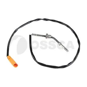 32494 OSSCA