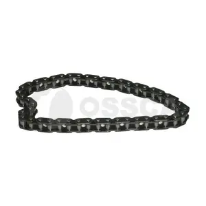09528 OSSCA