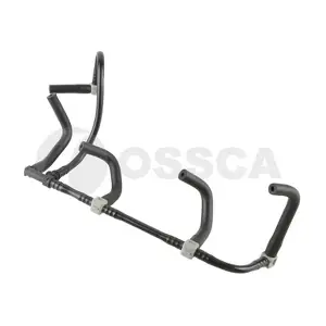 69146 OSSCA