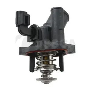 OSSCA 12596