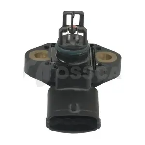 09079 OSSCA