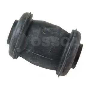 16132 OSSCA