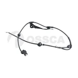 31070 OSSCA
