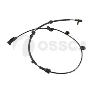 36266 OSSCA
