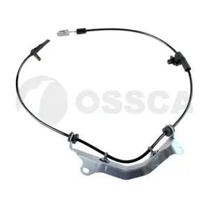 30546 OSSCA