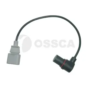 10016 OSSCA