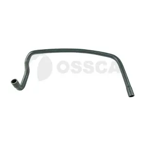 33938 OSSCA