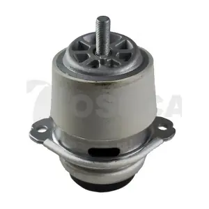 89651 OSSCA