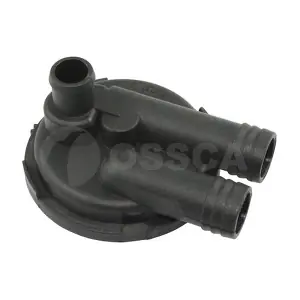 05541 OSSCA