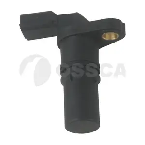 20458 OSSCA