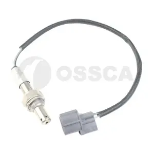 34140 OSSCA
