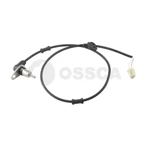 05816 OSSCA
