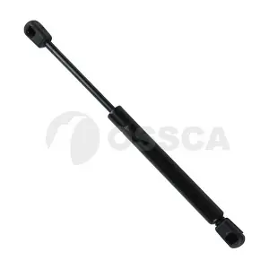 13220 OSSCA