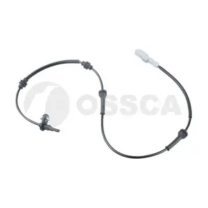 51036 OSSCA