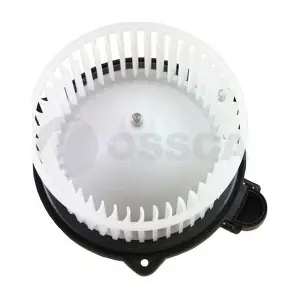 85689 OSSCA