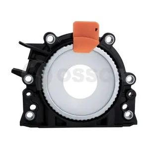 17655 OSSCA
