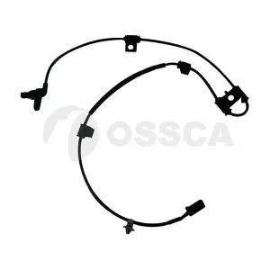 25027 OSSCA