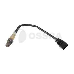 50975 OSSCA