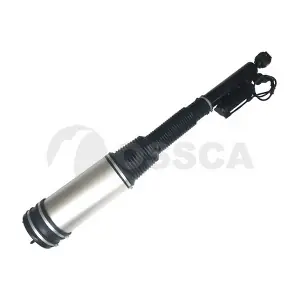 21730 OSSCA