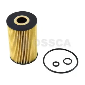 13454 OSSCA