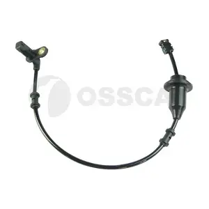 28905 OSSCA