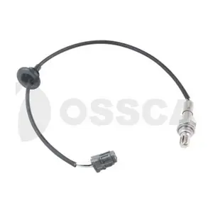 41597 OSSCA
